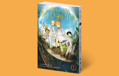 mateja matić, prevodilac obećana nedođija kada sirotište postane zamka laguna knjige