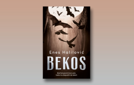 prikaz romana bekos umnožavanje nesreće junaka laguna knjige