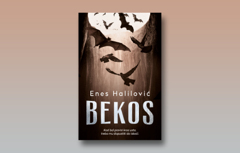 prikaz romana bekos enesa halilovića laguna knjige