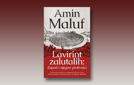 prikaz knjige lavirint zalutalih most između svetova laguna knjige