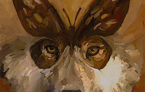  peti leptir uroša petrovića objavljen i u mađarskoj  laguna knjige