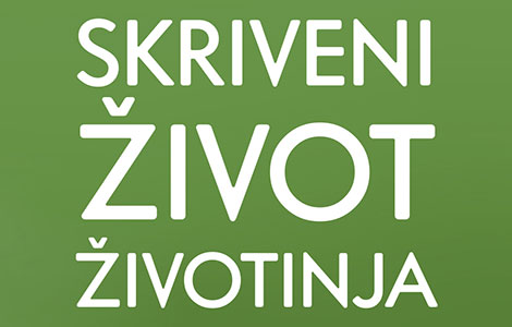 šta životinje misle i osećaju u novoj knjizi petera volebena skriveni život životinja  laguna knjige