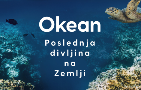  okean dejvida atenboroa i kolina batlfilda u prodaji od 3 februara laguna knjige